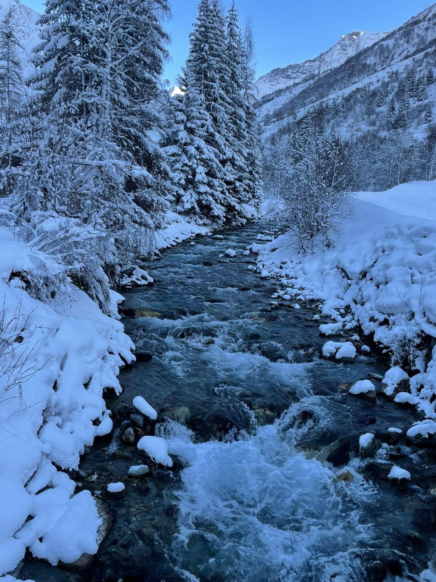 Chalet Les Avernes - Champagny En Vanoise, Domaine La Plagne Paradiski Екстериор снимка